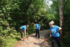 MBAKS团队全年参与社区管理活动, 包括在Mercer Slough自然公园清理小径